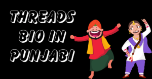 Threads Bio in Punjabi