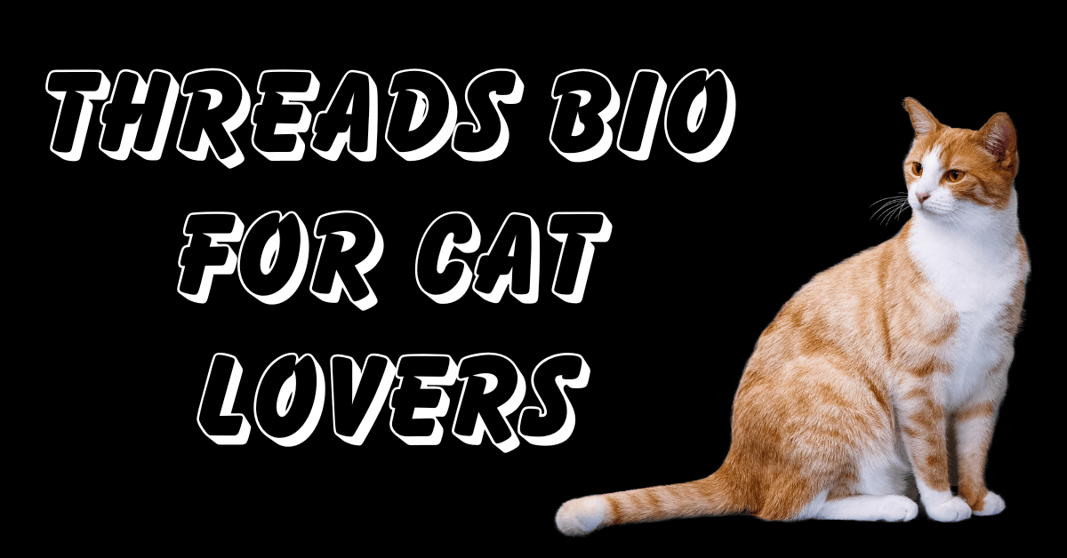 Threads Bio for Cat Lovers